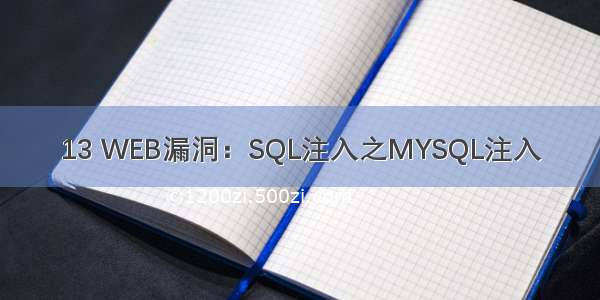 13 WEB漏洞：SQL注入之MYSQL注入