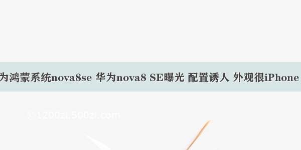 华为鸿蒙系统nova8se 华为nova8 SE曝光 配置诱人 外观很iPhone 12