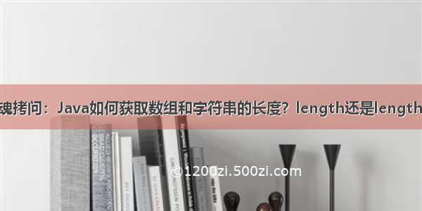 灵魂拷问：Java如何获取数组和字符串的长度？length还是length()？