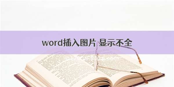 word插入图片 显示不全