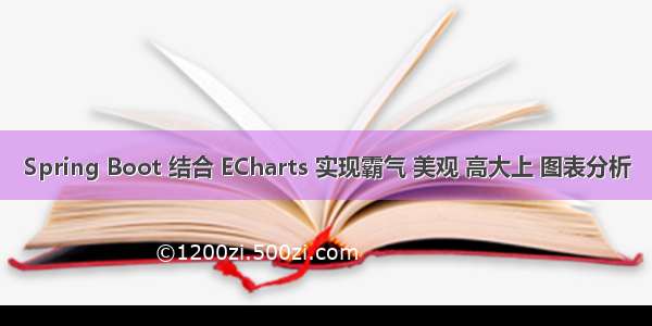 Spring Boot 结合 ECharts 实现霸气 美观 高大上 图表分析