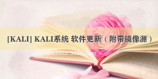 [KALI] KALI系统 软件更新（附带镜像源）