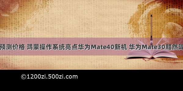 华为鸿蒙新机预测价格 鸿蒙操作系统亮点华为Mate40新机 华为Mate30黯然降价网友欢呼...