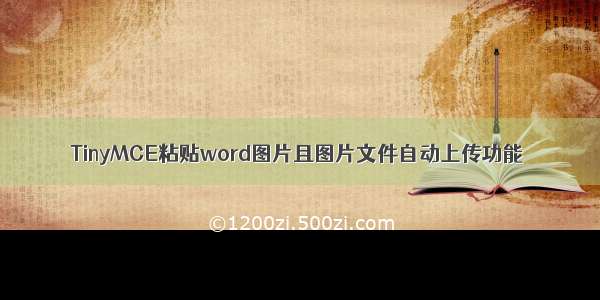 TinyMCE粘贴word图片且图片文件自动上传功能