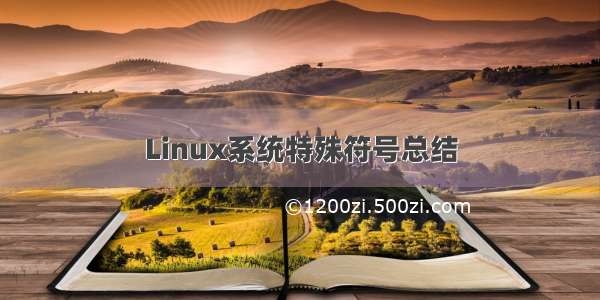 Linux系统特殊符号总结