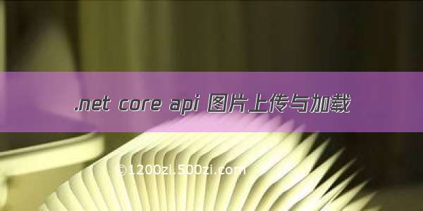 .net core api 图片上传与加载