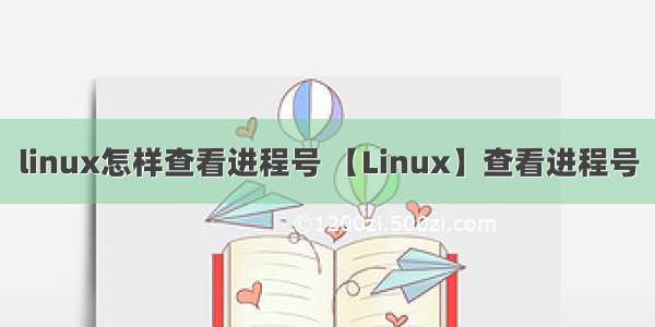 linux怎样查看进程号 【Linux】查看进程号