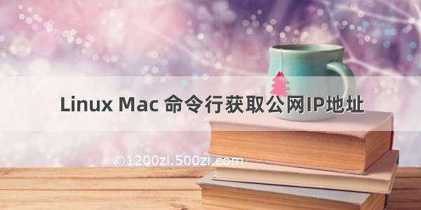 Linux Mac 命令行获取公网IP地址