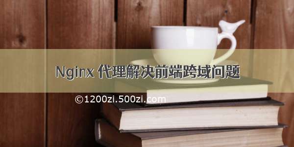 Nginx 代理解决前端跨域问题