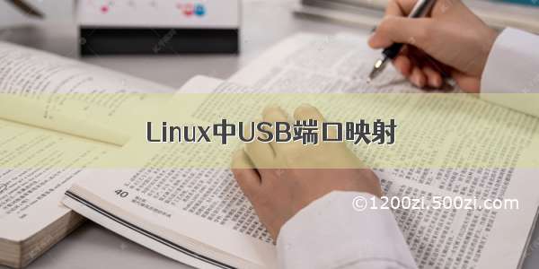 Linux中USB端口映射