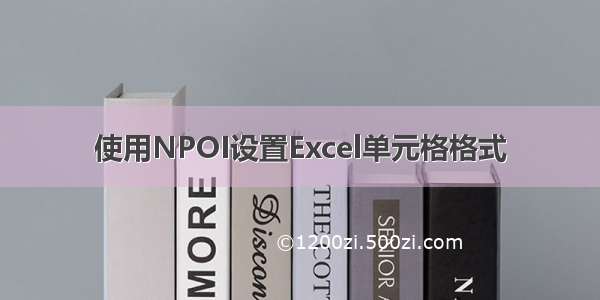 使用NPOI设置Excel单元格格式