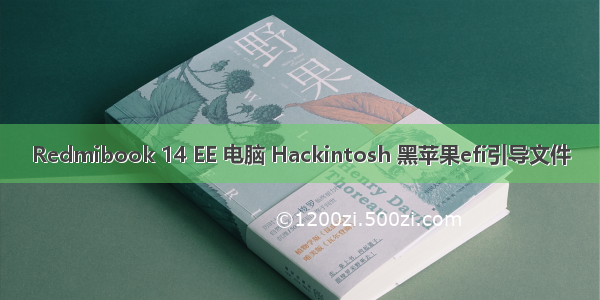 Redmibook 14 EE 电脑 Hackintosh 黑苹果efi引导文件