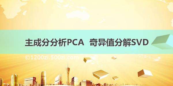 主成分分析PCA  奇异值分解SVD