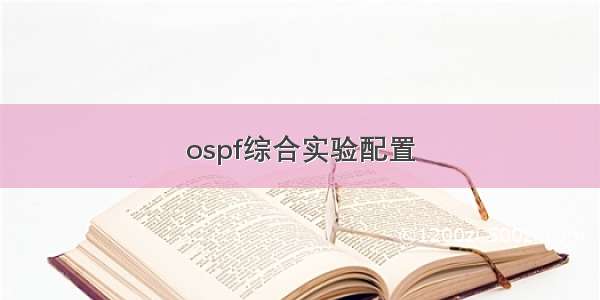 ospf综合实验配置