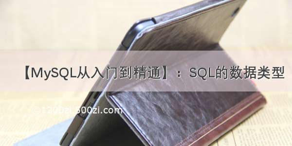 【MySQL从入门到精通】：SQL的数据类型