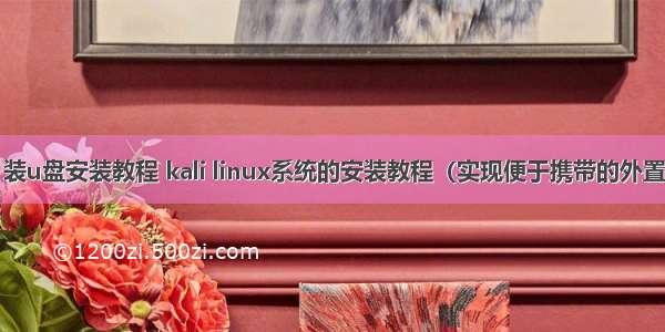 kali linux 装u盘安装教程 kali linux系统的安装教程（实现便于携带的外置盘系统）...