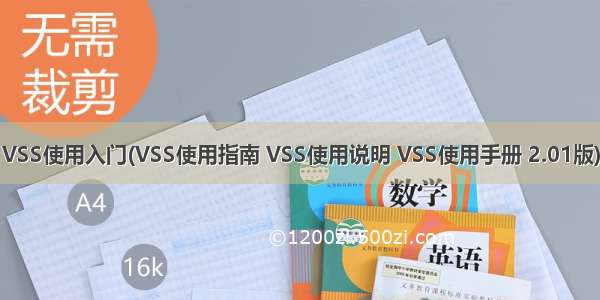 VSS使用入门(VSS使用指南 VSS使用说明 VSS使用手册 2.01版)