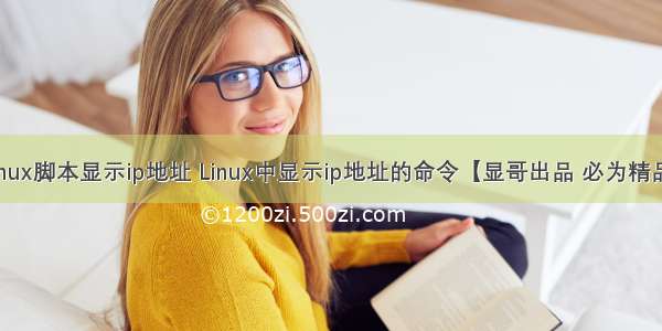 linux脚本显示ip地址 Linux中显示ip地址的命令【显哥出品 必为精品】