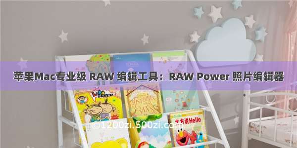 苹果Mac专业级 RAW 编辑工具：RAW Power 照片编辑器