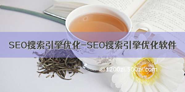 SEO搜索引擎优化-SEO搜索引擎优化软件