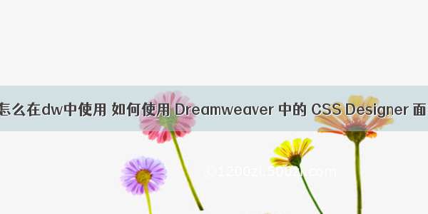 css怎么在dw中使用 如何使用 Dreamweaver 中的 CSS Designer 面板