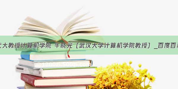 武大教授计算机学院 牛晓光（武汉大学计算机学院教授）_百度百科