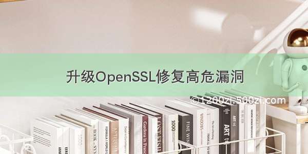 升级OpenSSL修复高危漏洞