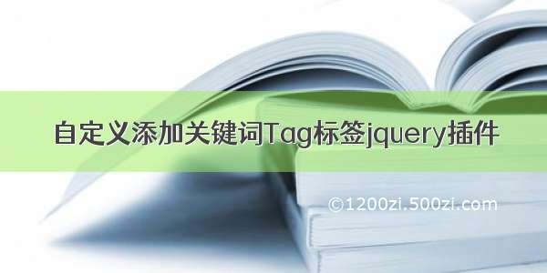 自定义添加关键词Tag标签jquery插件