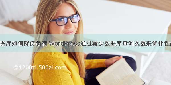 php查询数据库如何降低负荷 WordPress通过减少数据库查询次数来优化性能的方法...