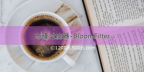 布隆过滤器-BloomFilter