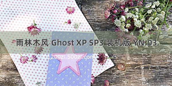 雨林木风 Ghost XP SP3 装机版 YN.03