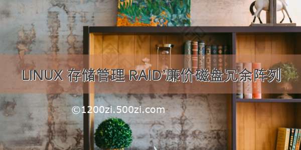 LINUX 存储管理 RAID’廉价磁盘冗余阵列