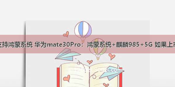 mate30pro支不支持鸿蒙系统 华为mate30Pro：鸿蒙系统+麒麟985+5G 如果上市了你会支持吗？...