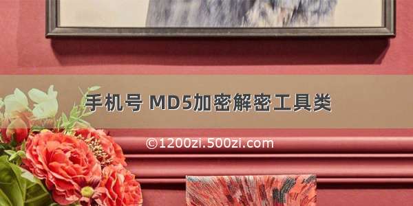 手机号 MD5加密解密工具类