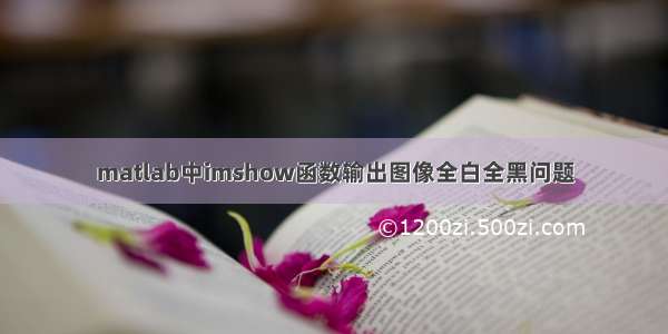 matlab中imshow函数输出图像全白全黑问题