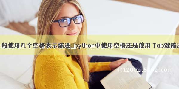 python中一般使用几个空格表示缩进_python中使用空格还是使用 Tab键缩进的建议...