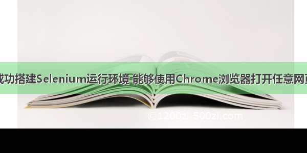 成功搭建Selenium运行环境 能够使用Chrome浏览器打开任意网页