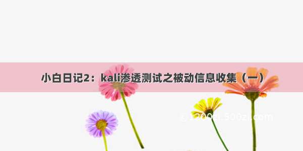 小白日记2：kali渗透测试之被动信息收集（一）