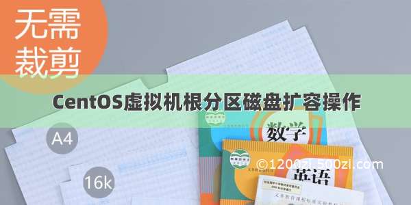 CentOS虚拟机根分区磁盘扩容操作