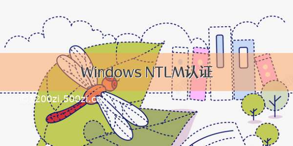 Windows NTLM认证