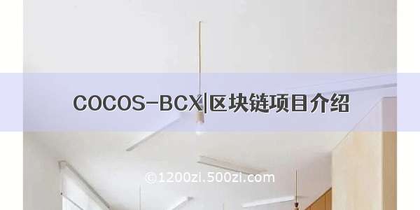 COCOS-BCX|区块链项目介绍