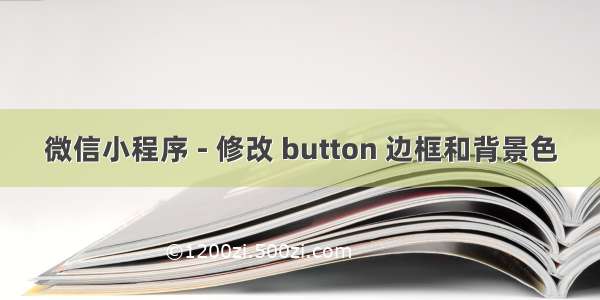 微信小程序 - 修改 button 边框和背景色