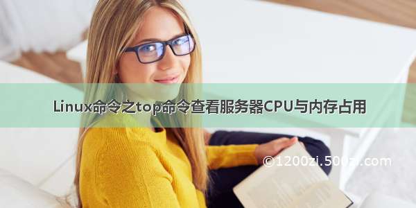 Linux命令之top命令查看服务器CPU与内存占用