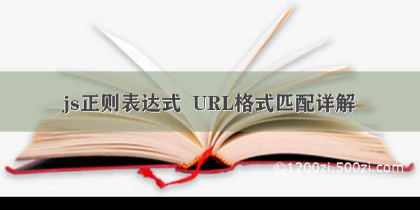 js正则表达式  URL格式匹配详解