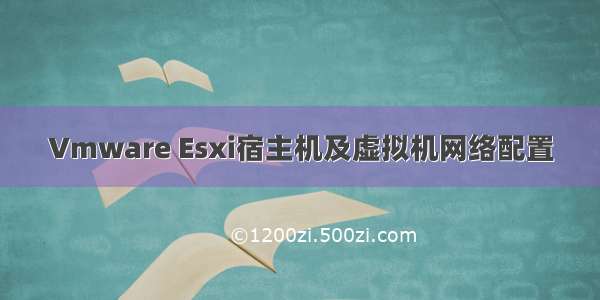 Vmware Esxi宿主机及虚拟机网络配置