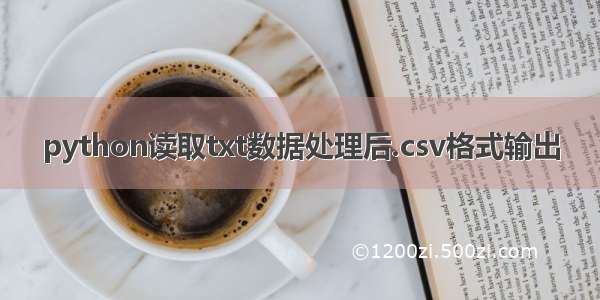 python读取txt数据处理后.csv格式输出