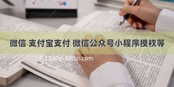 微信 支付宝支付 微信公众号小程序授权等