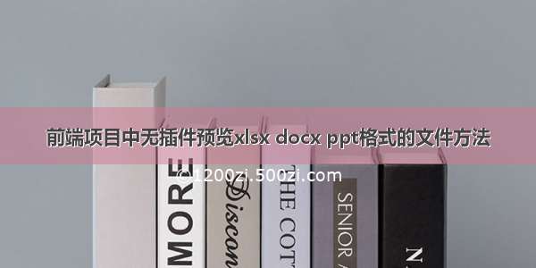 前端项目中无插件预览xlsx docx ppt格式的文件方法