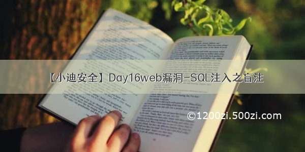 【小迪安全】Day16web漏洞-SQL注入之盲注