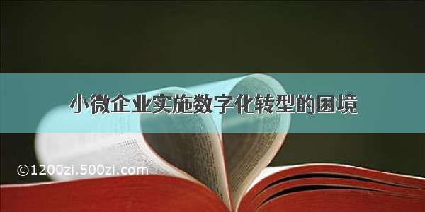 小微企业实施数字化转型的困境